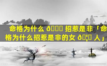 命格为什么 💐 招惹是非「命格为什么招惹是非的女 🦅 人」
